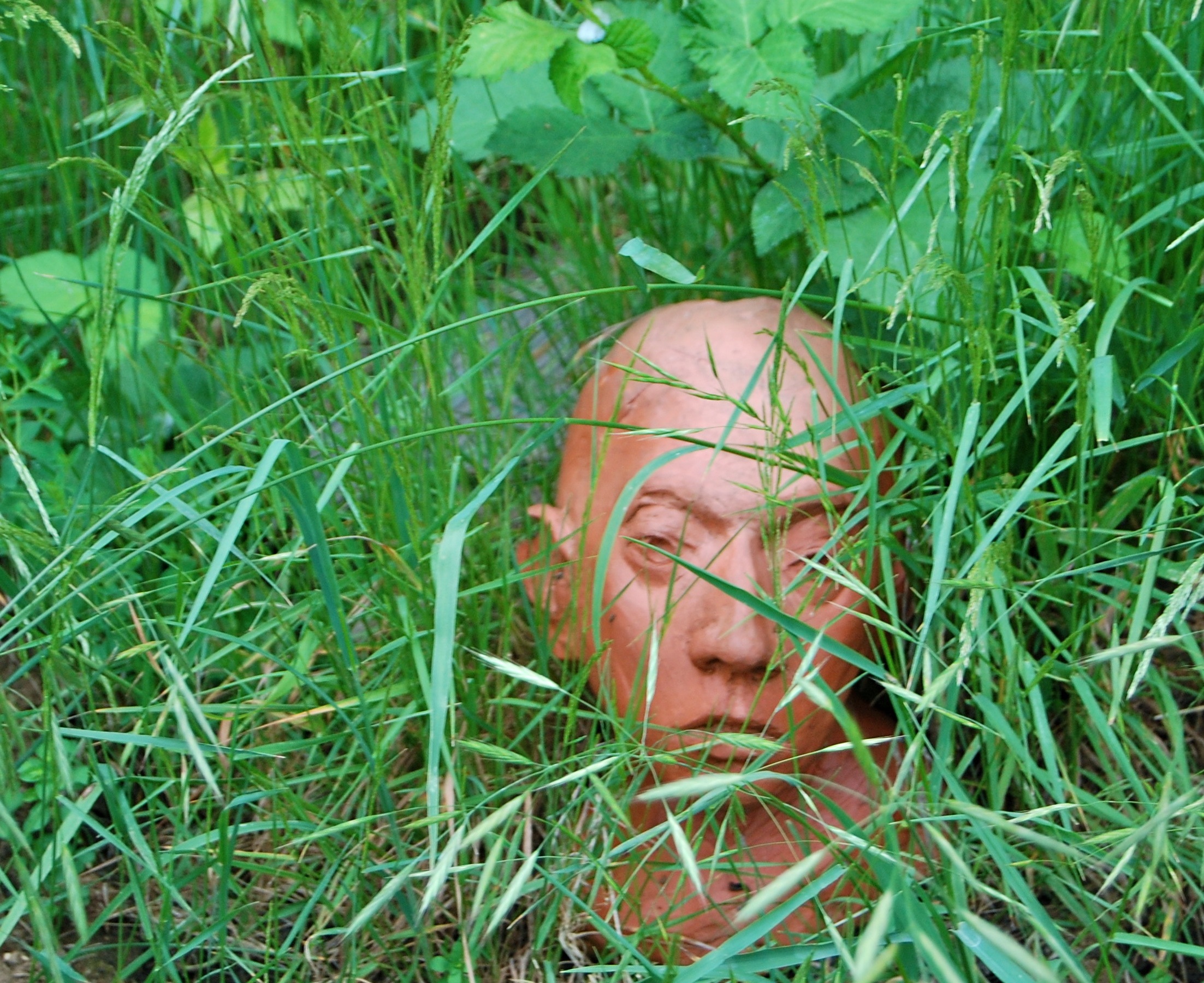 hiding-in-grass