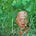hiding-in-grass